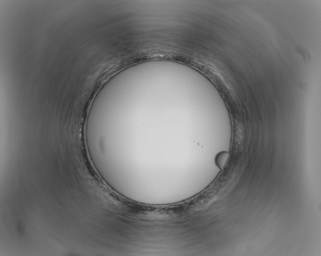 X0000112480545200908171015