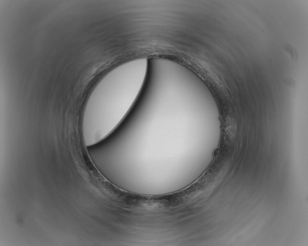 X0000112480547200908171015