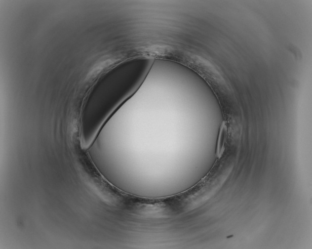 X0000112480548200908171015