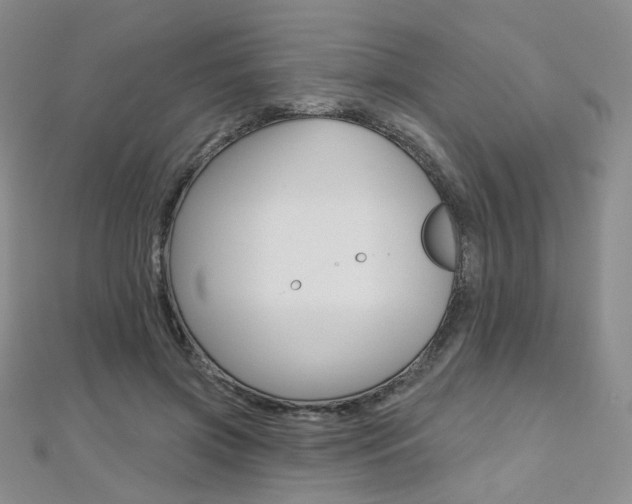 X0000112480549200908171015