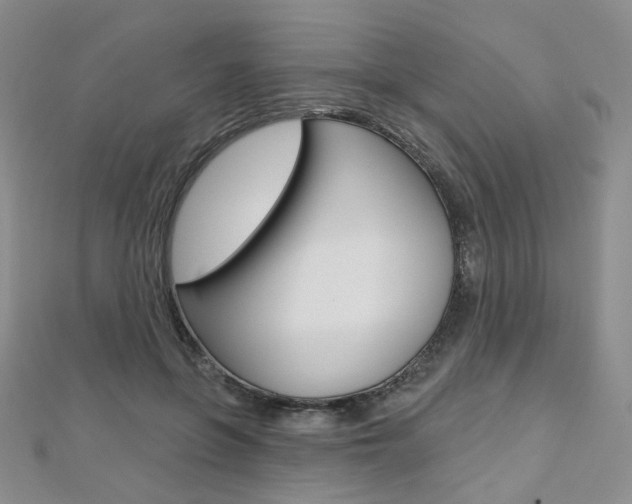 X0000112480551200908171015