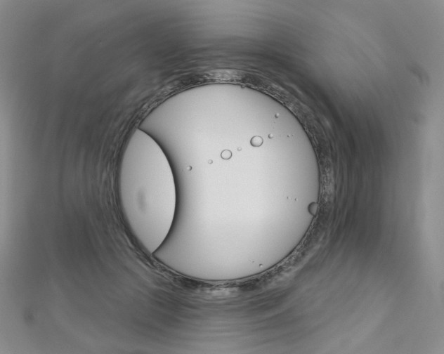 X0000112480553200908171015