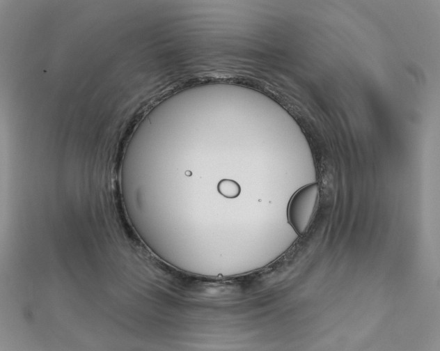 X0000112480555200908171015