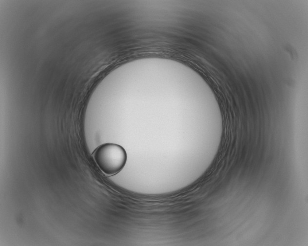 X0000112480556200908171015