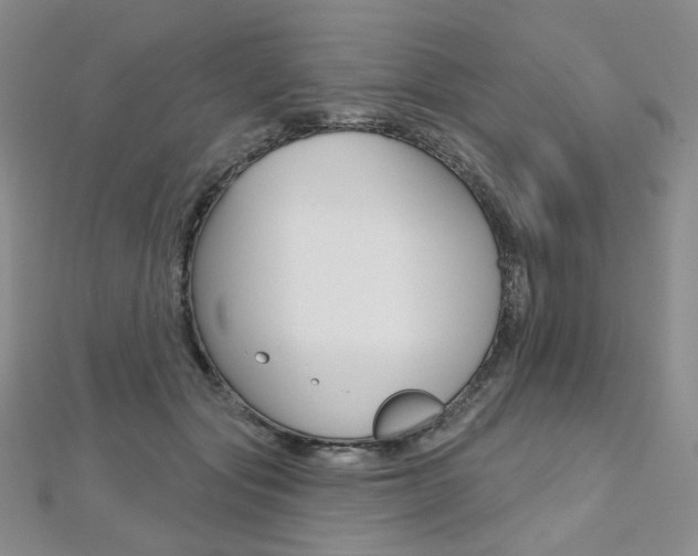 X0000112480557200908171015
