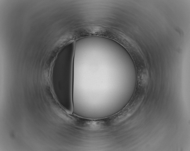 X0000112480558200908171015