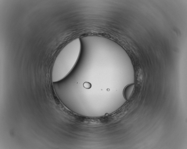 X0000112480559200908171015