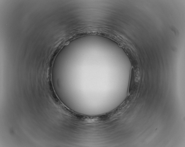 X0000112480560200908171015