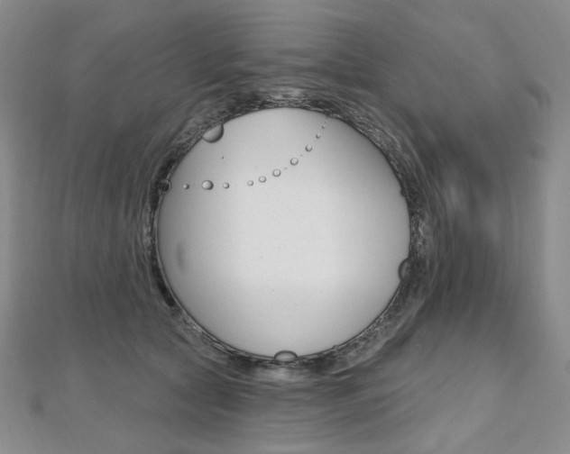 X0000112480561200908171015