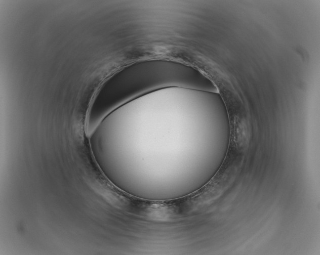 X0000112480562200908171015