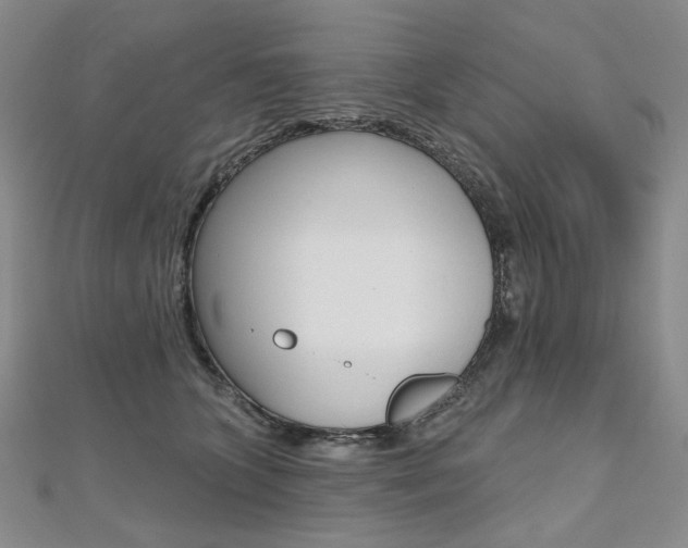 X0000112480563200908171015