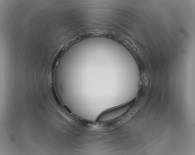 X0000112480564200908171015