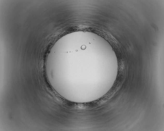 X0000112480565200908171015