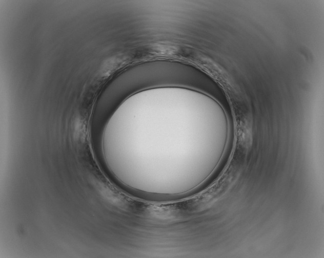 X0000112480568200908171015