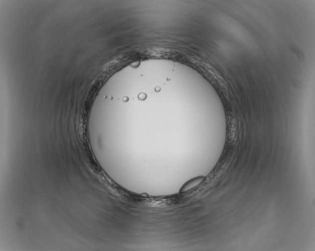 X0000112480569200908171015
