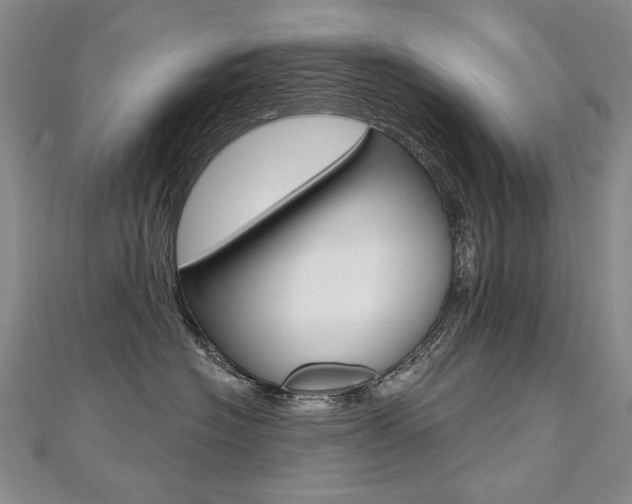 X0000112480574200908171015