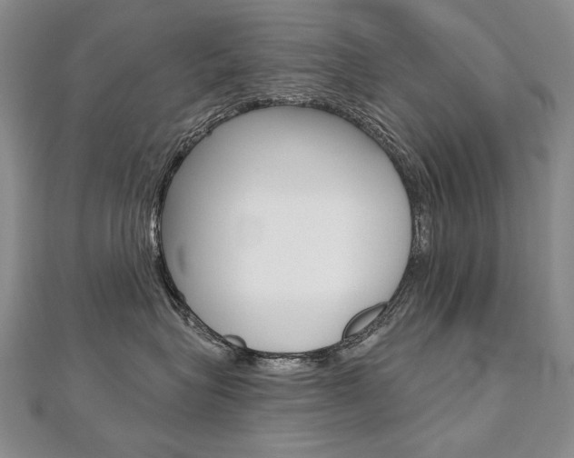 X0000112480575200908171015