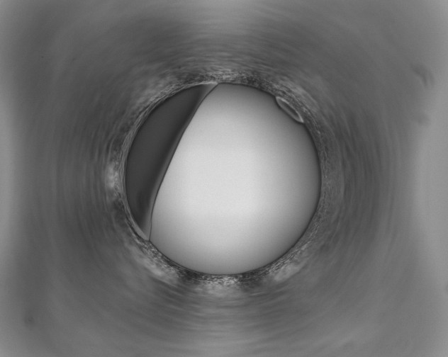 X0000112480576200908171015