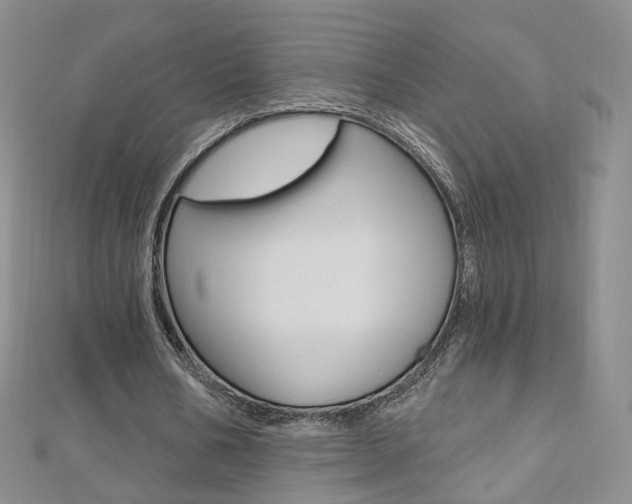 X0000112480578200908171014