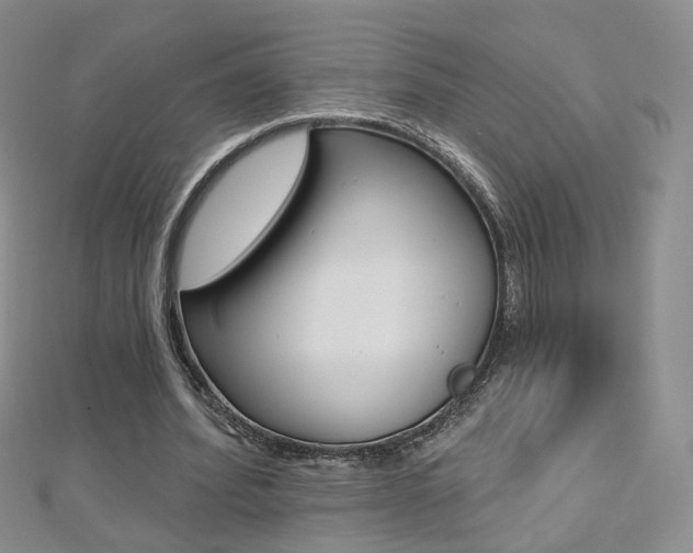 X0000112480580200908171014