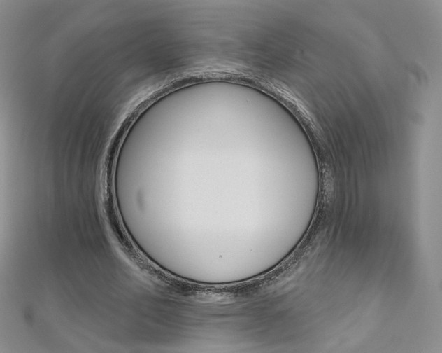 X0000112480582200908171014