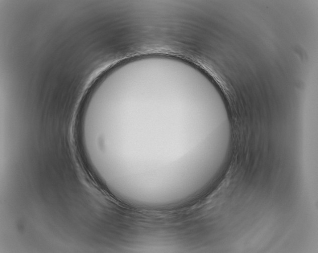X0000112480583200908171014