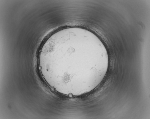 X0000112480584200908171014