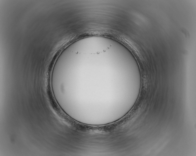 X0000112480586200908171014