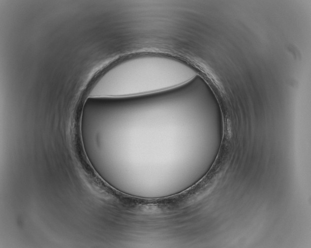 X0000112480588200908171014
