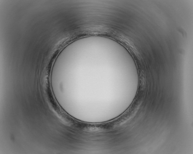X0000112480590200908171014