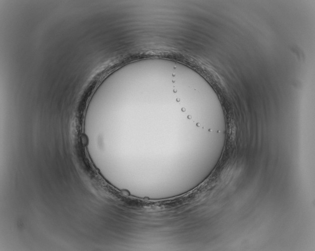 X0000112480591200908171014