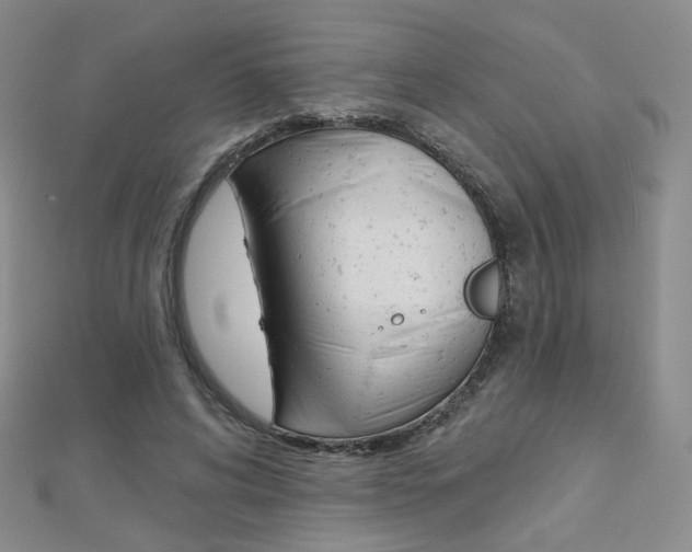 X0000112480592200908171014