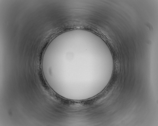 X0000112480594200908171014