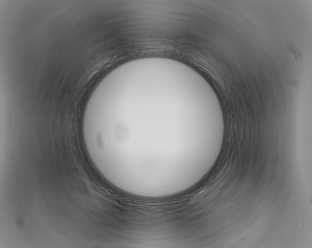 X0000112480595200908171014