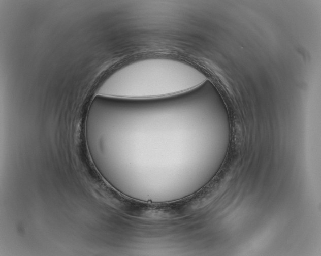 X0000112480596200908171014