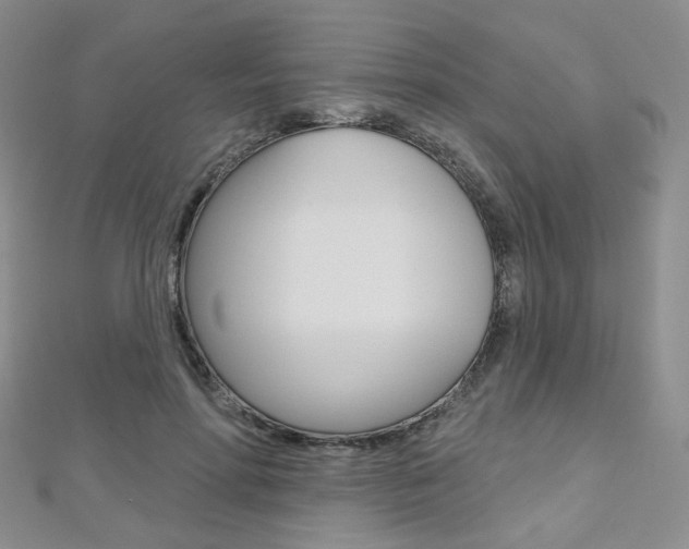 X0000112480598200908171014