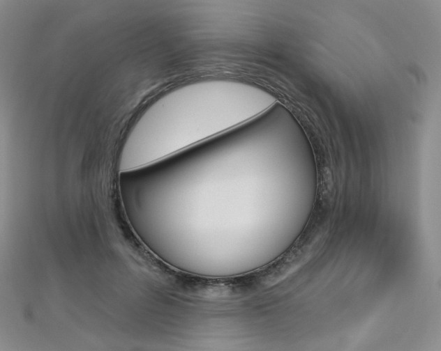 X0000112480600200908171014