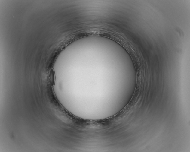 X0000112480601200908171014