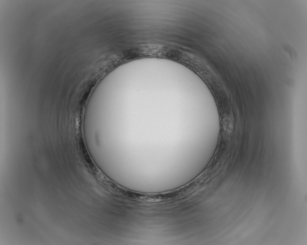 X0000112480602200908171014