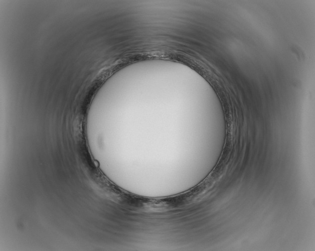 X0000112480603200908171014