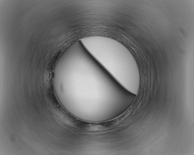 X0000112480605200908171014