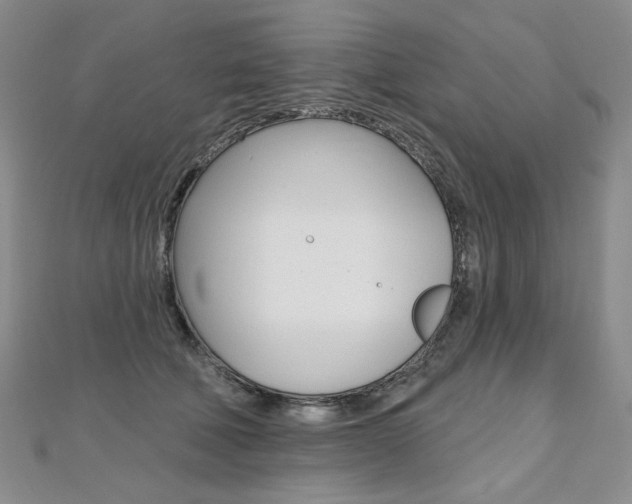 X0000112480610200908171014