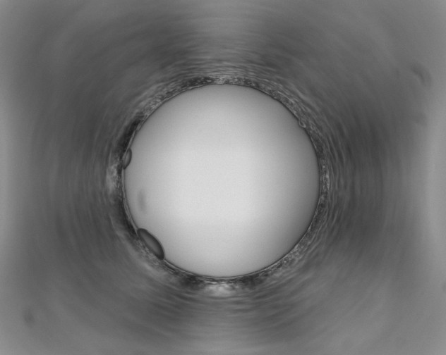 X0000112480611200908171014