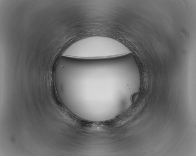 X0000112480612200908171014
