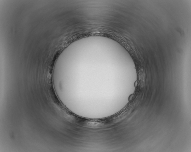X0000112480614200908171014