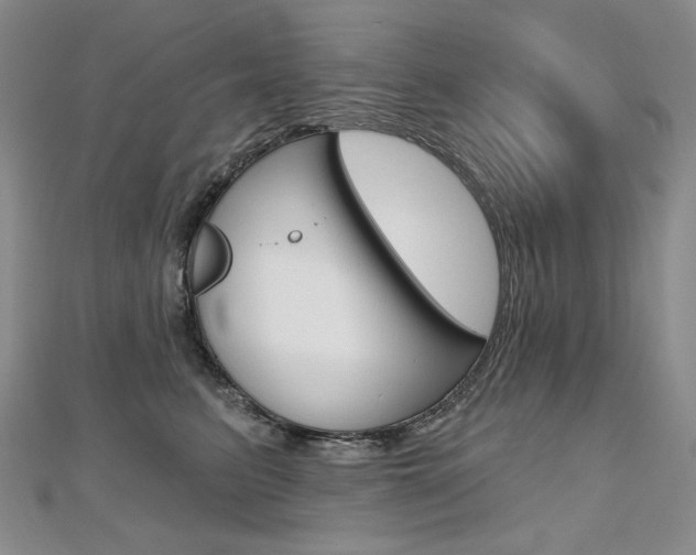 X0000112480615200908171014