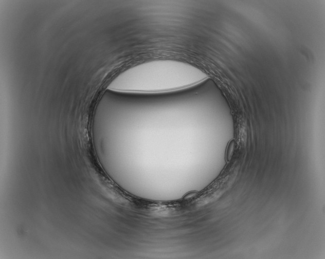 X0000112480616200908171014
