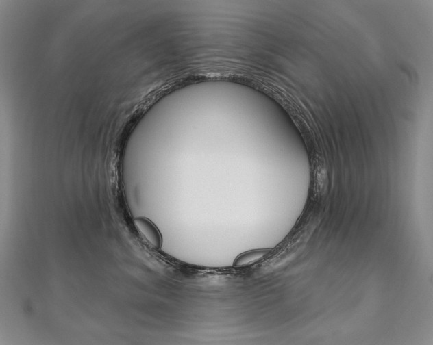 X0000112480620200908171014