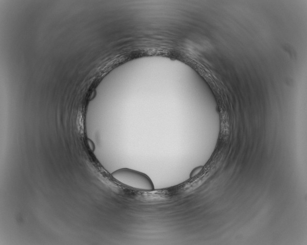 X0000112480622200908171014