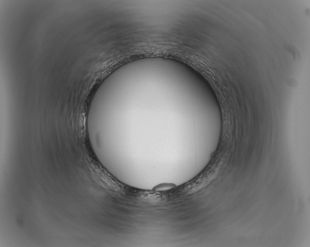 X0000112480624200908171014